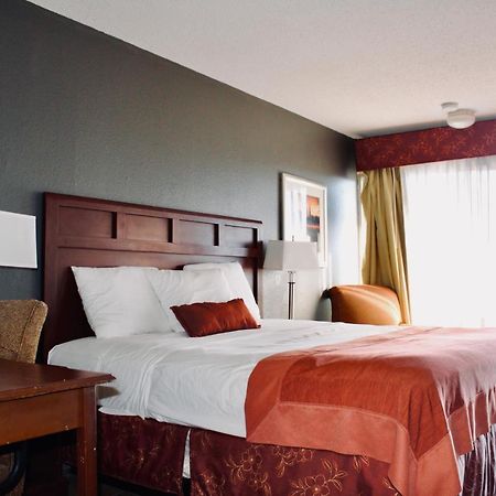 La Vista Inn Port Richey Zewnętrze zdjęcie