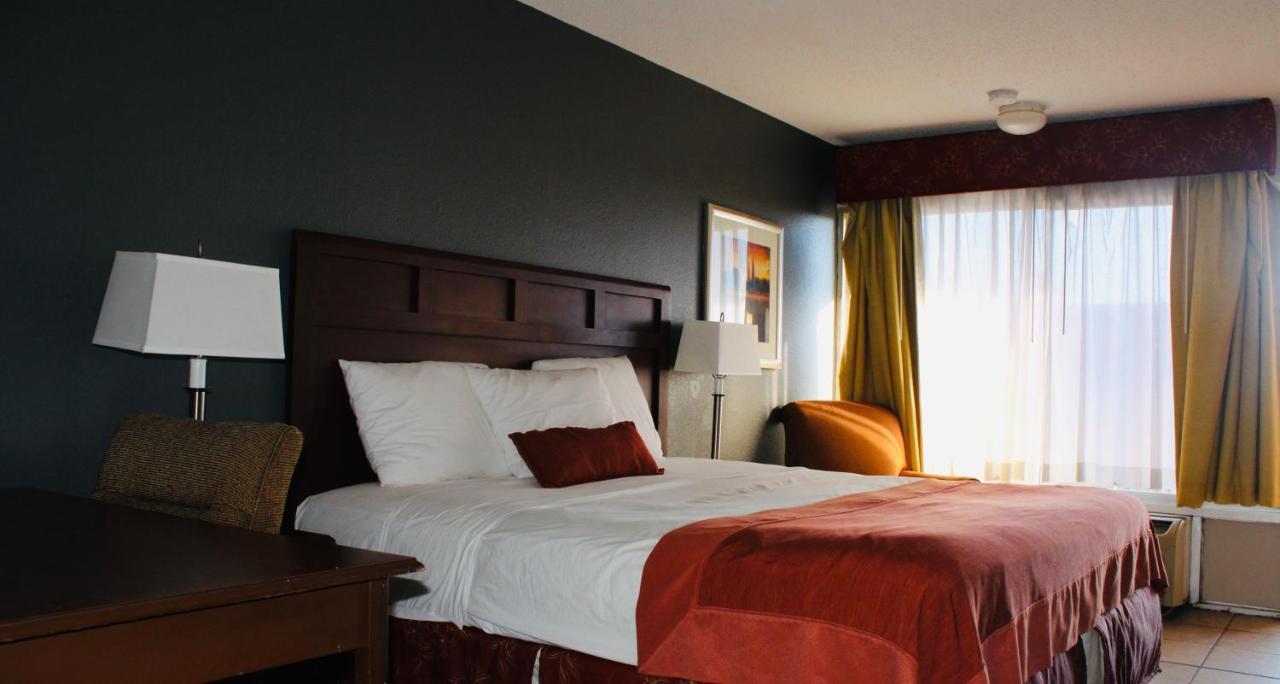 La Vista Inn Port Richey Zewnętrze zdjęcie